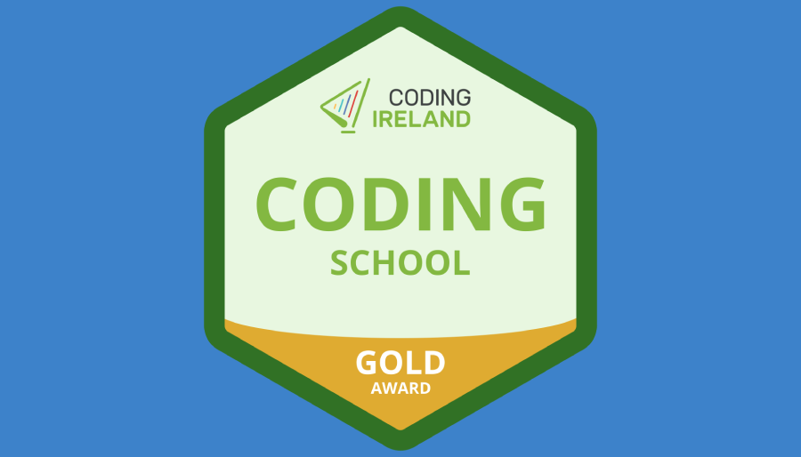Coding School Award Flag